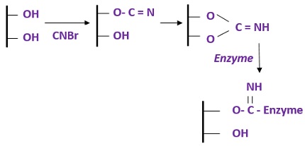 CNBR ACTIVATION