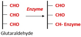 POLY FUNCTIONAL AGENT