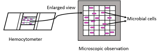 direct microscopic count