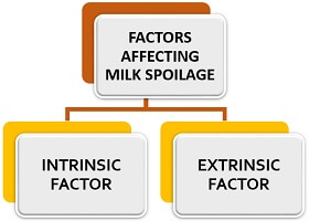 factors affecting milk spoilage