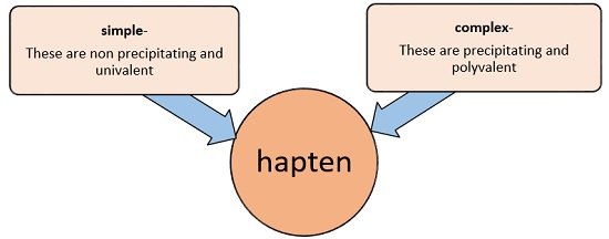 hapten types