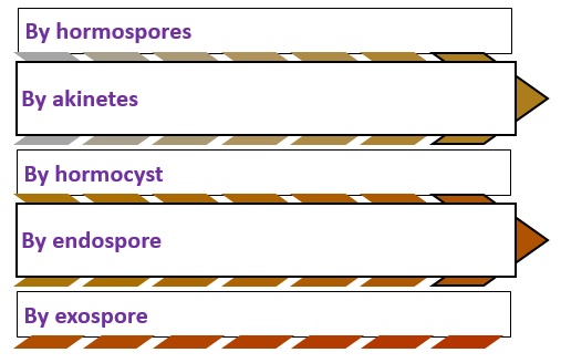 methods of asexual reproduction