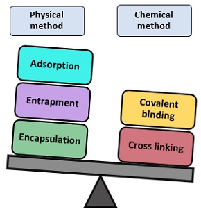 methods of immobilization