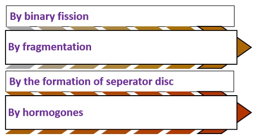 methods of vegetative reproduction