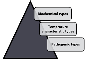 microorganisms type