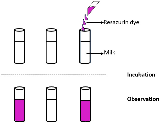 resazurin test