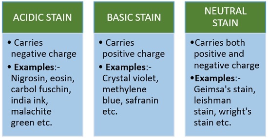 stain types