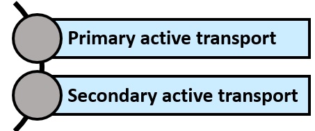 active transport types
