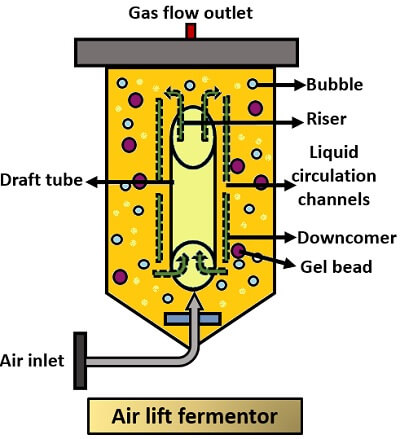 air lift fermentor