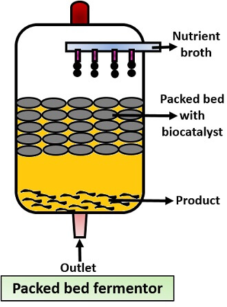 packed bed bioreactor