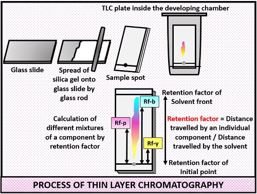  procesul de TLC