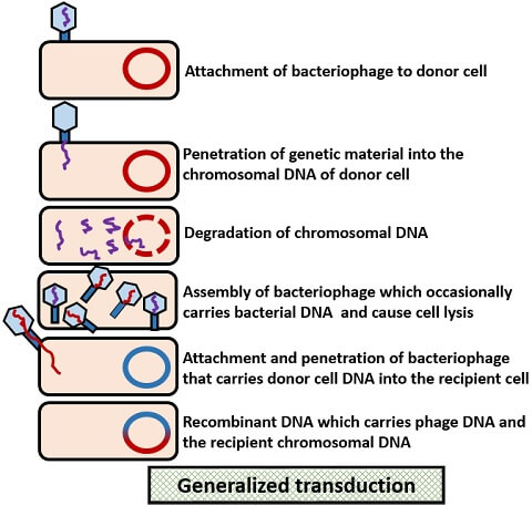 generalized transduction