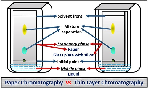 Papier-Dünnschichtchromatographie