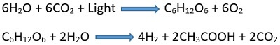 indirect photolysis