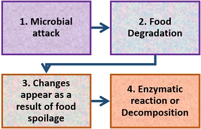 process of food spoilage