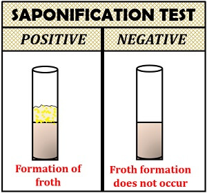 saponification test