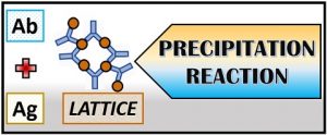 define precipitate chemistry terms