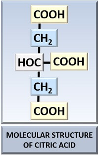 Molecular structure of citric acid