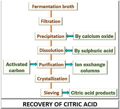 Recovery of citric acid