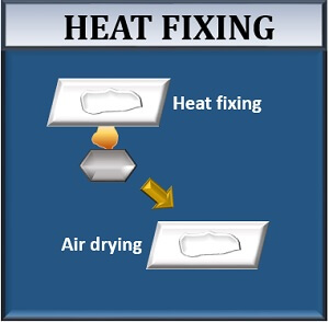 heat fixing
