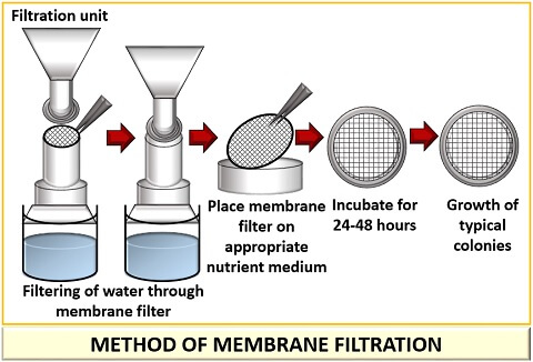 What Is Membrane Filtration Method Definition Summary Method Biology Reader