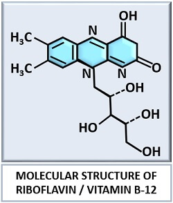 molecular structure of riboflavin