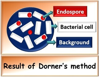 result of Dorner's method