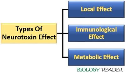 Neurotoxin effects