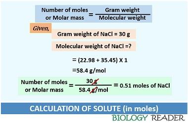 calculation of solute in molality