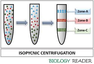 What Is Centrifugation Method Definition Principle Types Uses What Is Centrifugation Method Definition Principle Types Uses