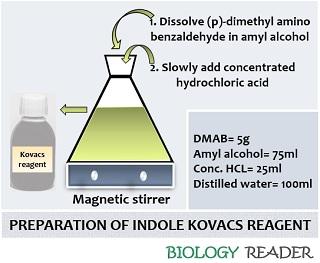 preparation of kovacs reagent