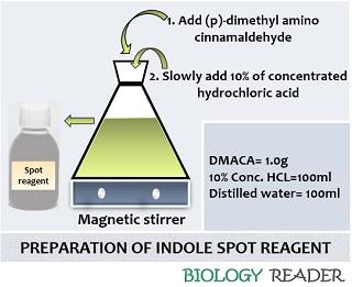 preparation of spot reagent