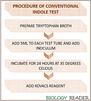 procedure of conventional indole test