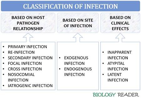 classification of infection