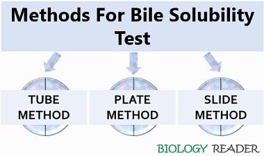 methods for bile solubility test
