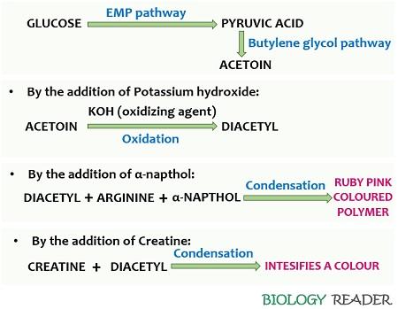 principle of VP test