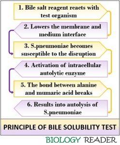bile solubility test