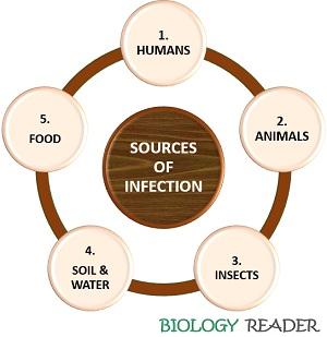 sources of infection