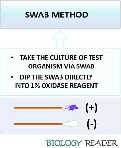 swab oxidase method