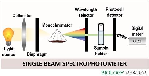 Single Beam Spectrophotometer Diagram Single Beam Spectrophotometer Diagram