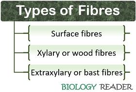 types of fibre