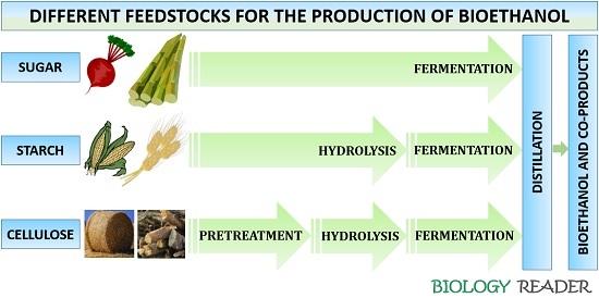 Different substrates for bioethanol production