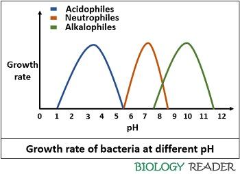 Bacterial growth at different ph