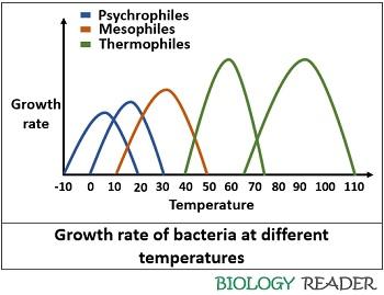 Bacterial growth at different temperatures