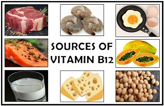 Sources of vitamin B12