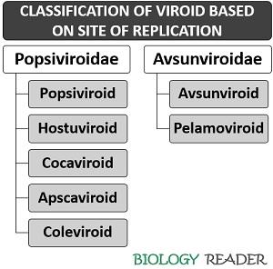 Classification of viroids