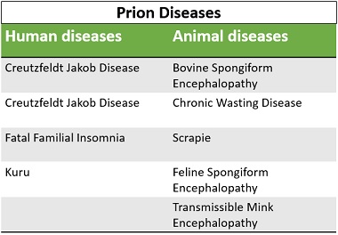 Prion diseases