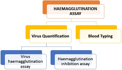 Applications of haemagglutination