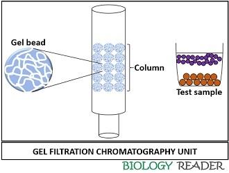 gel filtration chromatography unit