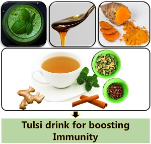 Tulsi drink